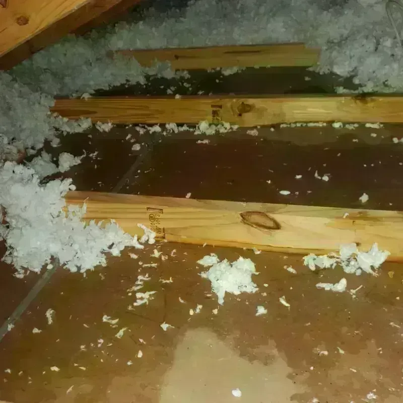 Attic Water Damage in Culver City, CA